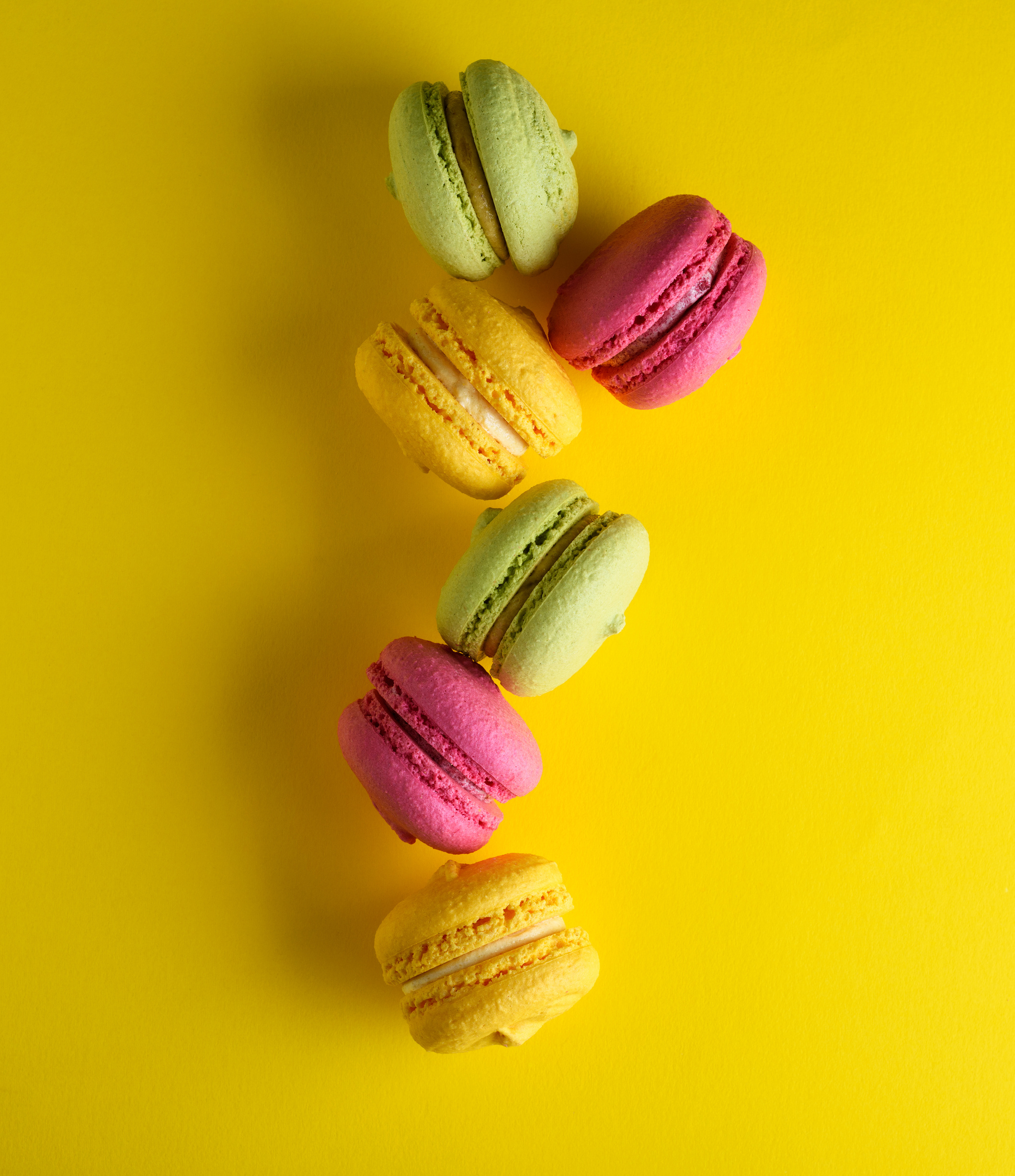 Multicolored Cakes Macarons